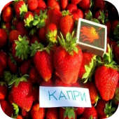 Клубника "Капри" 